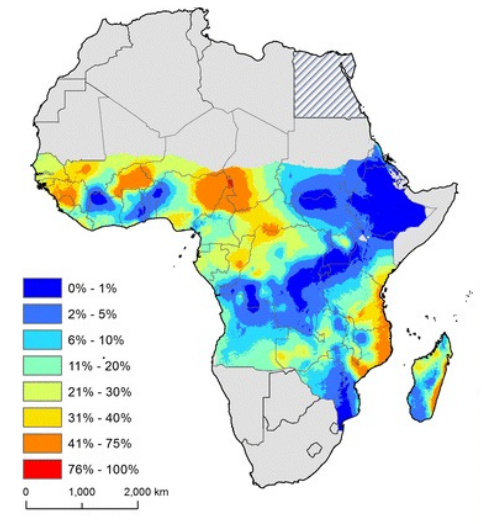 Lymphatic filariasis in sub-Saharan Africa
