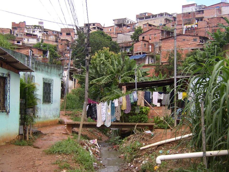 Leptospirosis in Pau da Lima, Salvador, Brazil