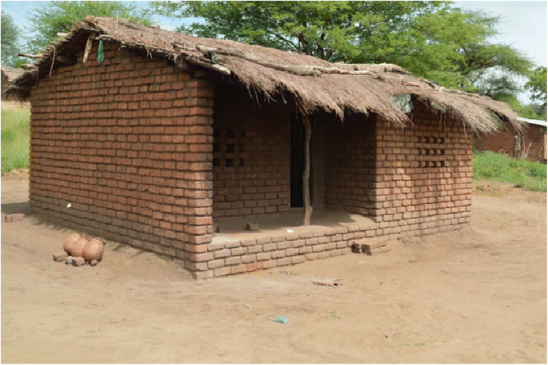 Malaria in Malawi